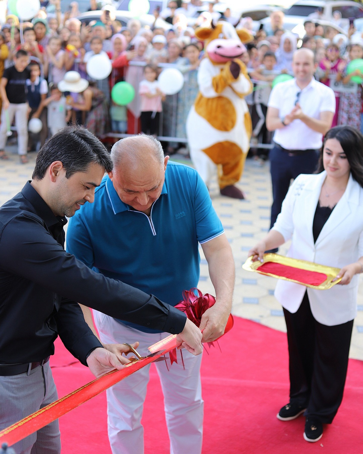 Борбад 101! Мы открылись!